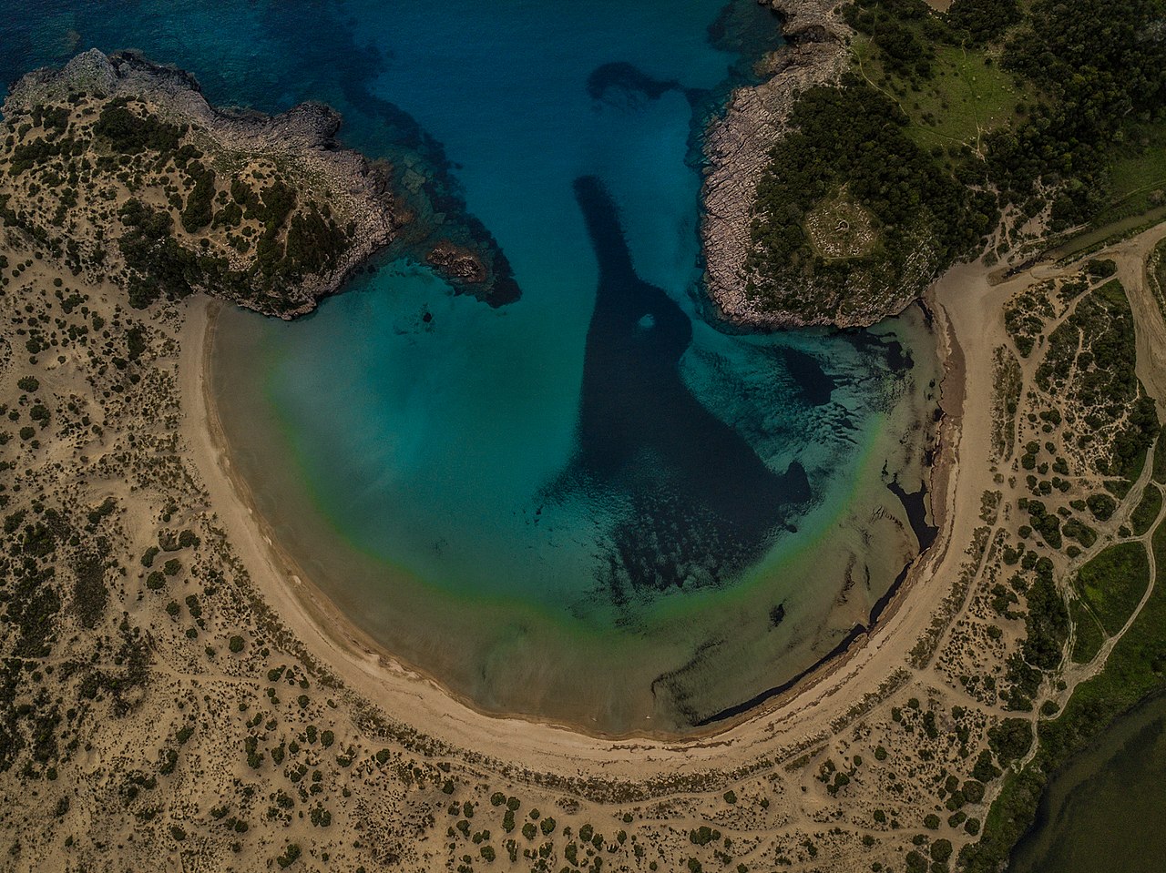 Η σπάνια παραλία που σχηματίζει κοχύλι