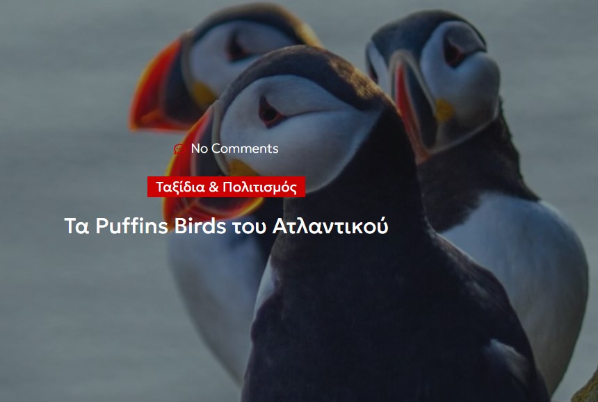 Τα Puffins Birds του Ατλαντικού