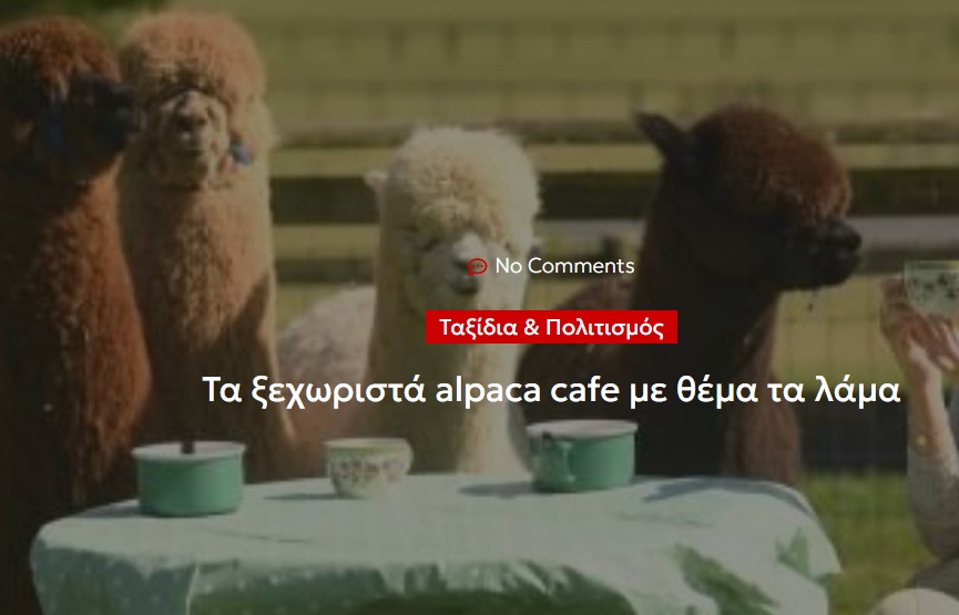 Τα ξεχωριστά alpaca cafe με θέμα τα λάμα