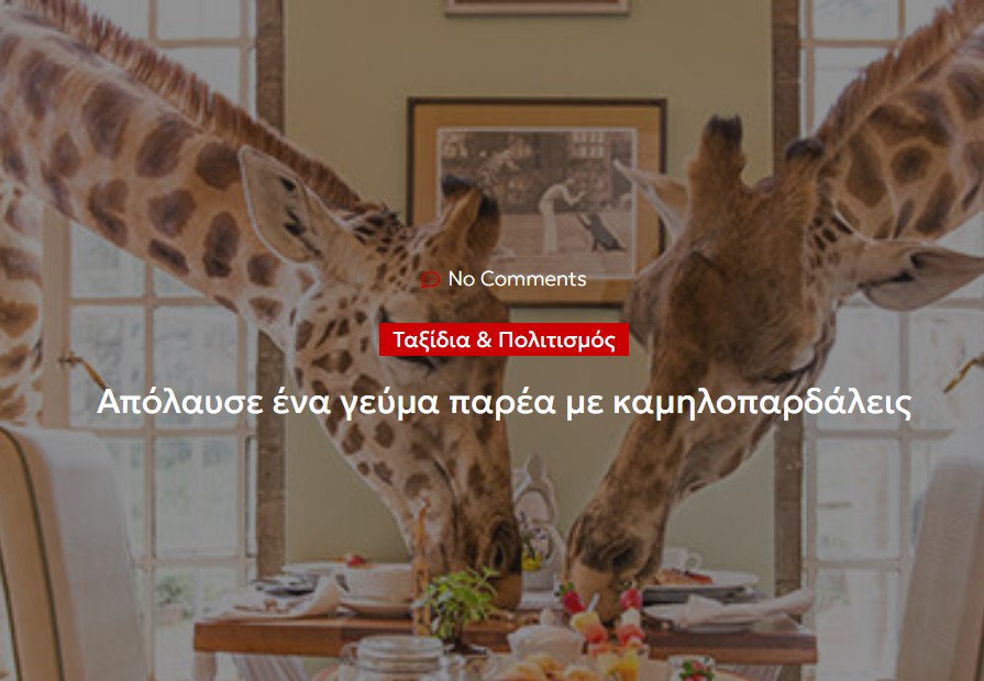 Απόλαυσε ένα γεύμα παρέα με καμηλοπαρδάλεις